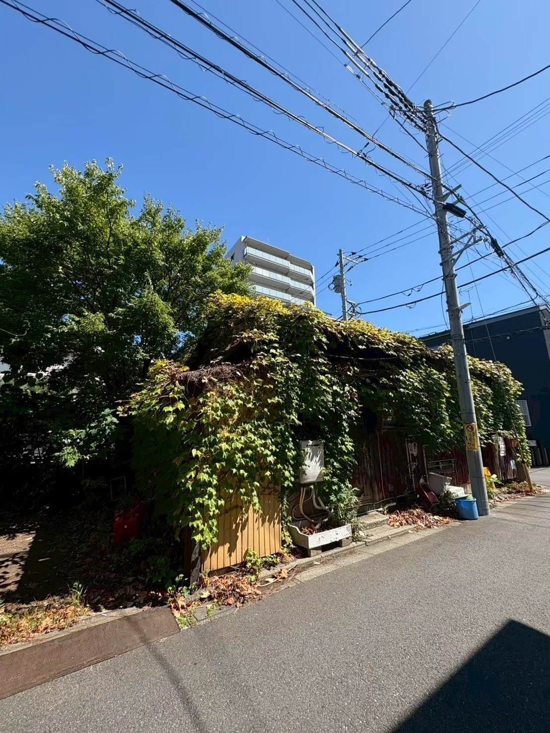 ゴミ屋敷は売却できる？片付け費用がない場合の解決策も解説